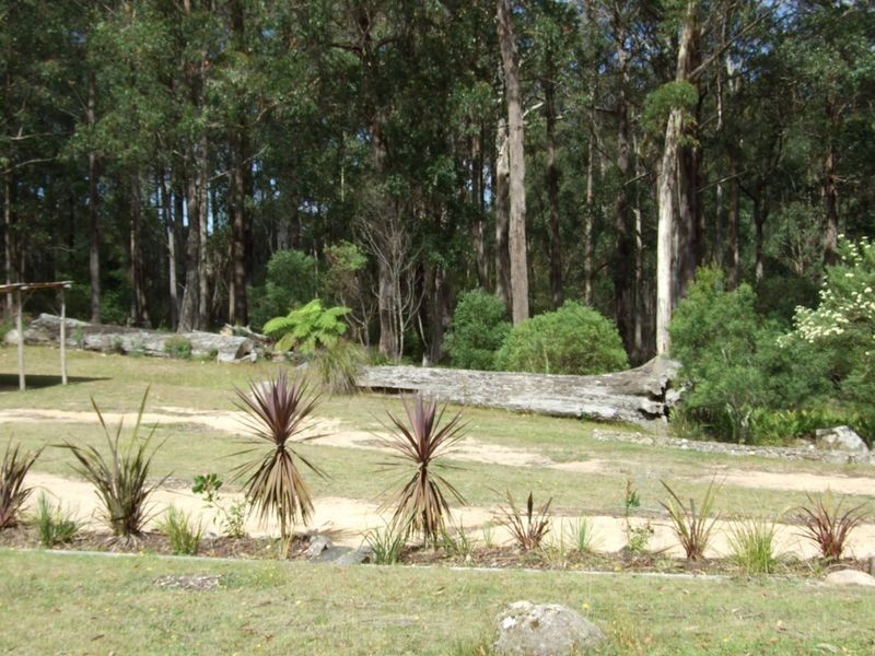 56 Tin Mine Road, Cathcart NSW 2632