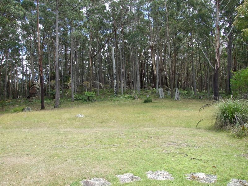 56 Tin Mine Road, Cathcart NSW 2632