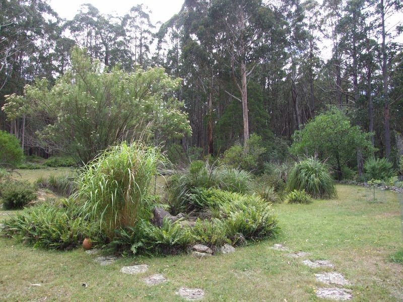 56 Tin Mine Road, Cathcart NSW 2632