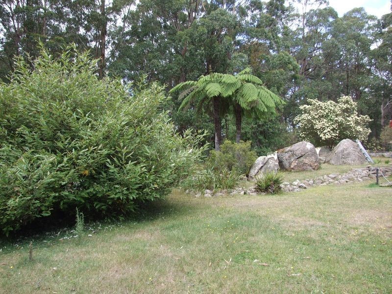 56 Tin Mine Road, Cathcart NSW 2632