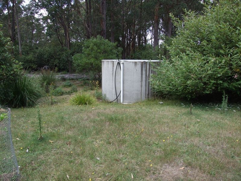 56 Tin Mine Road, Cathcart NSW 2632