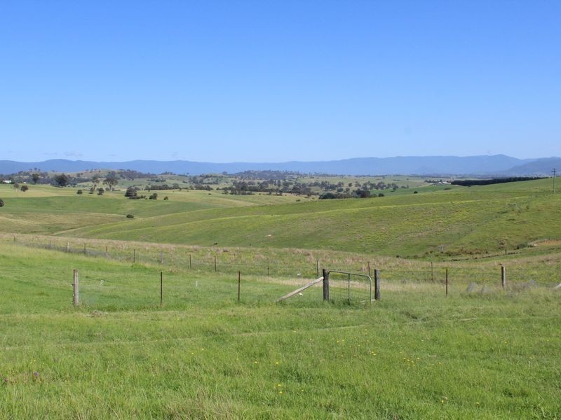 320 Kameruka Lane, Candelo NSW 2550