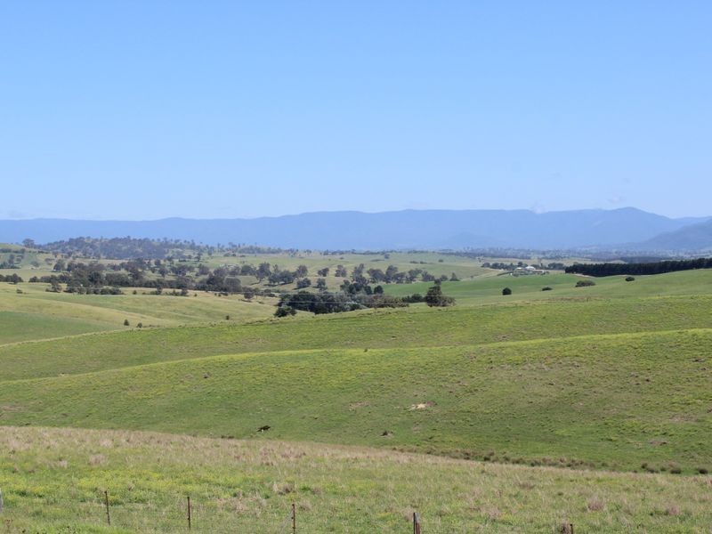 320 Kameruka Lane, Candelo NSW 2550