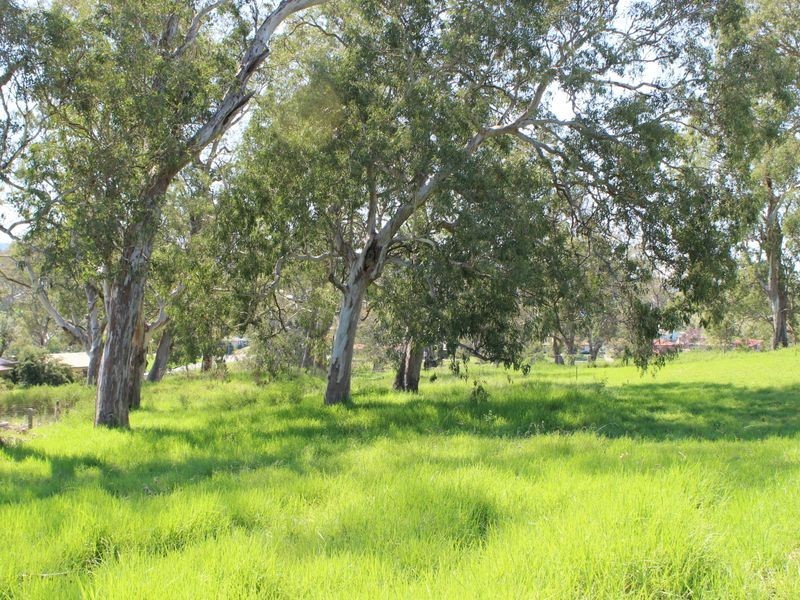 Lot 10 Thawa Close, Bega NSW 2550