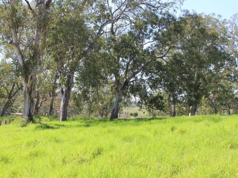 Lot 10 Thawa Close, Bega NSW 2550
