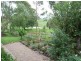 62 Wandella Road, Cobargo NSW 2550