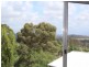 16 Bellbird Court, Wolumla NSW 2550