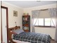 613 Tantawanglo Lane, Candelo NSW 2550