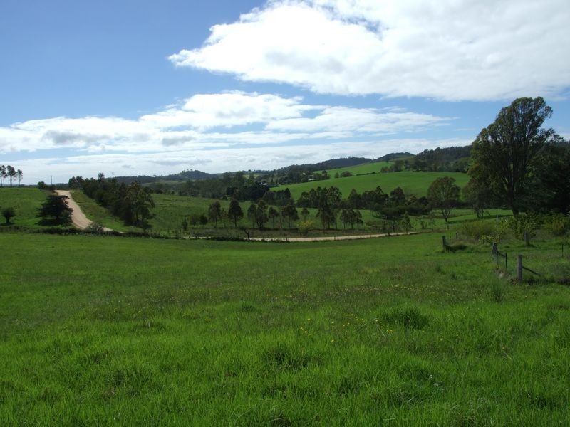 613 Tantawanglo Lane, Candelo NSW 2550