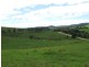 613 Tantawanglo Lane, Candelo NSW 2550