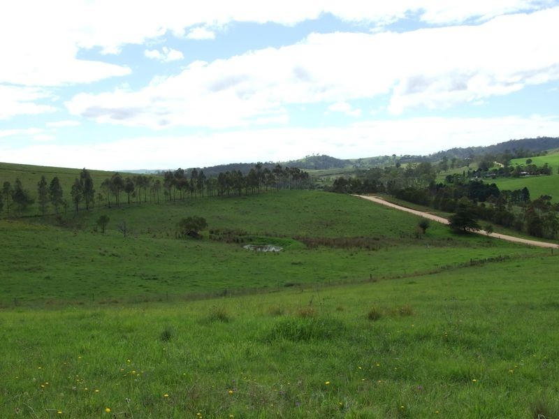 613 Tantawanglo Lane, Candelo NSW 2550