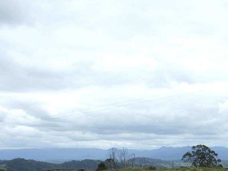 Lot 1339 Radium Ridge Road, Candelo NSW 2550
