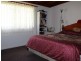 285 Frogs Hollow Lane, Bega NSW 2550