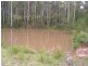 20 Murrabrine Forest Road, Cobargo NSW 2550