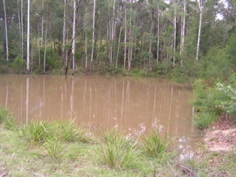 20 Murrabrine Forest Road, Cobargo NSW 2550