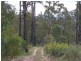 20 Murrabrine Forest Road, Cobargo NSW 2550