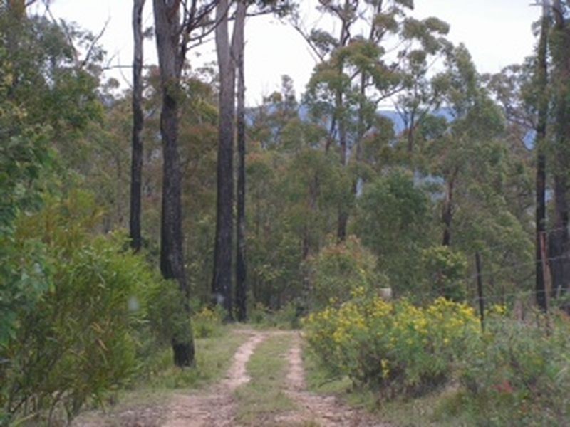 20 Murrabrine Forest Road, Cobargo NSW 2550