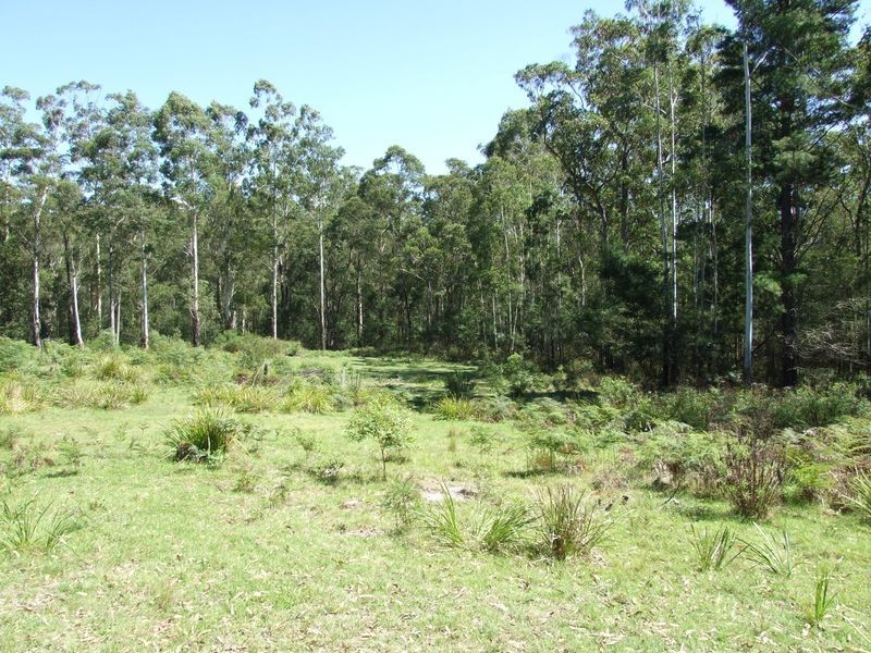 20 Murrabrine Forest Road, Cobargo NSW 2550