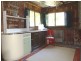 20 Murrabrine Forest Road, Cobargo NSW 2550
