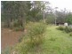 20 Murrabrine Forest Road, Cobargo NSW 2550