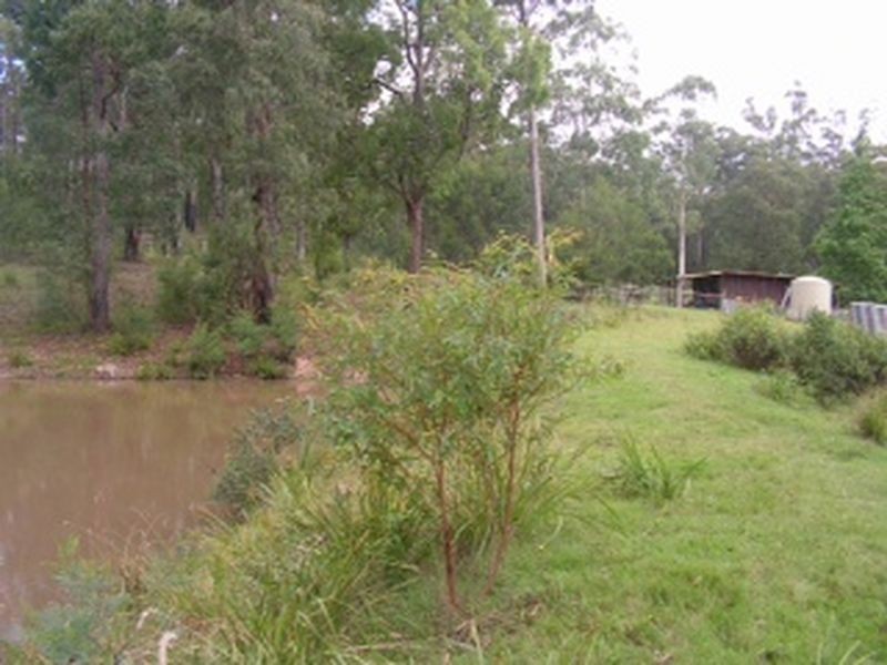 20 Murrabrine Forest Road, Cobargo NSW 2550