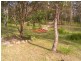 20 Murrabrine Forest Road, Cobargo NSW 2550