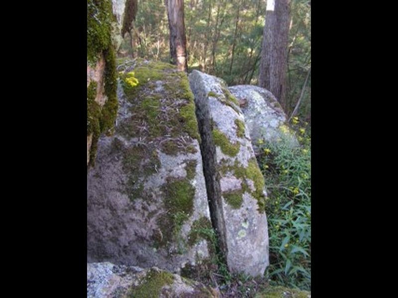 20 Murrabrine Forest Road, Cobargo NSW 2550