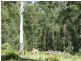 20 Murrabrine Forest Road, Cobargo NSW 2550