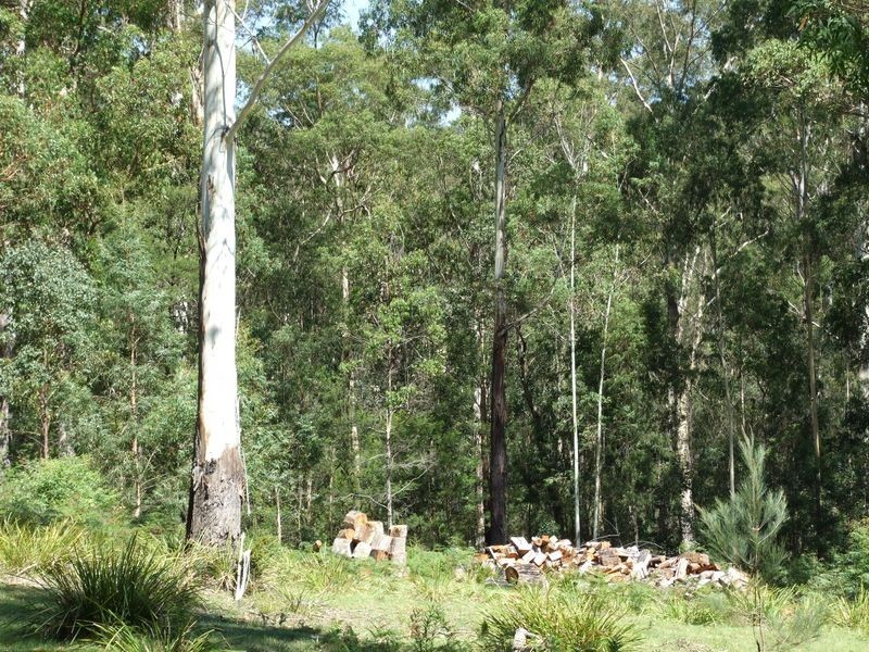 20 Murrabrine Forest Road, Cobargo NSW 2550