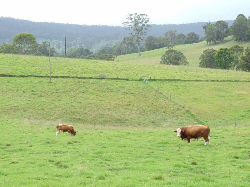 248 Bermagui Road, Cobargo NSW 2550