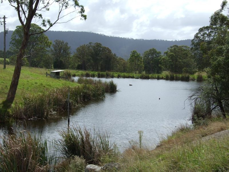 248 Bermagui Road, Cobargo NSW 2550