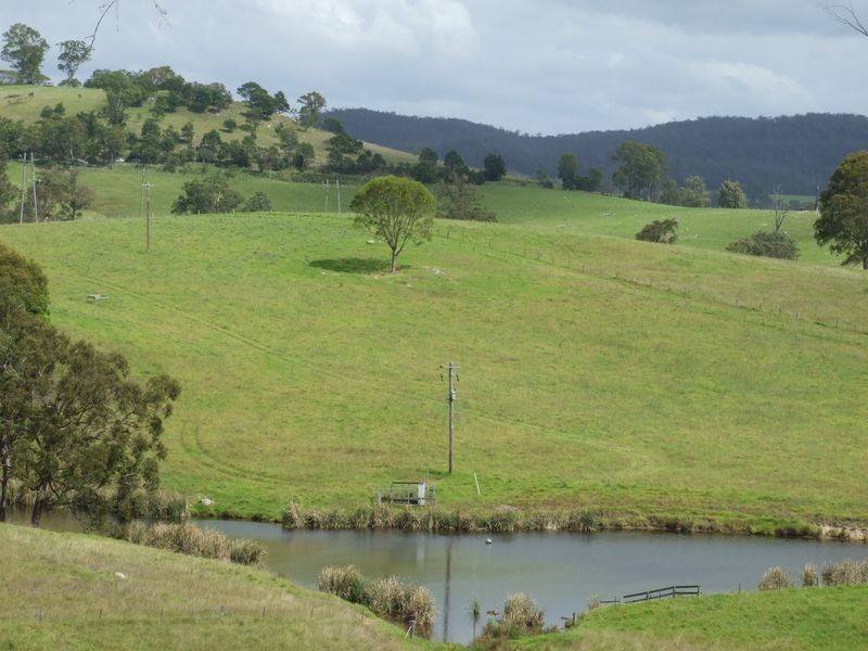 248 Bermagui Road, Cobargo NSW 2550