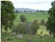 248 Bermagui Road, Cobargo NSW 2550