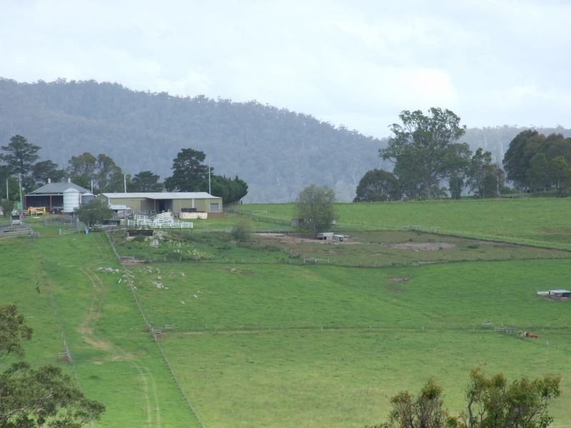 248 Bermagui Road, Cobargo NSW 2550