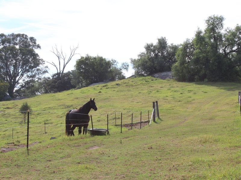 868 Buckajo Road, Bega NSW 2550