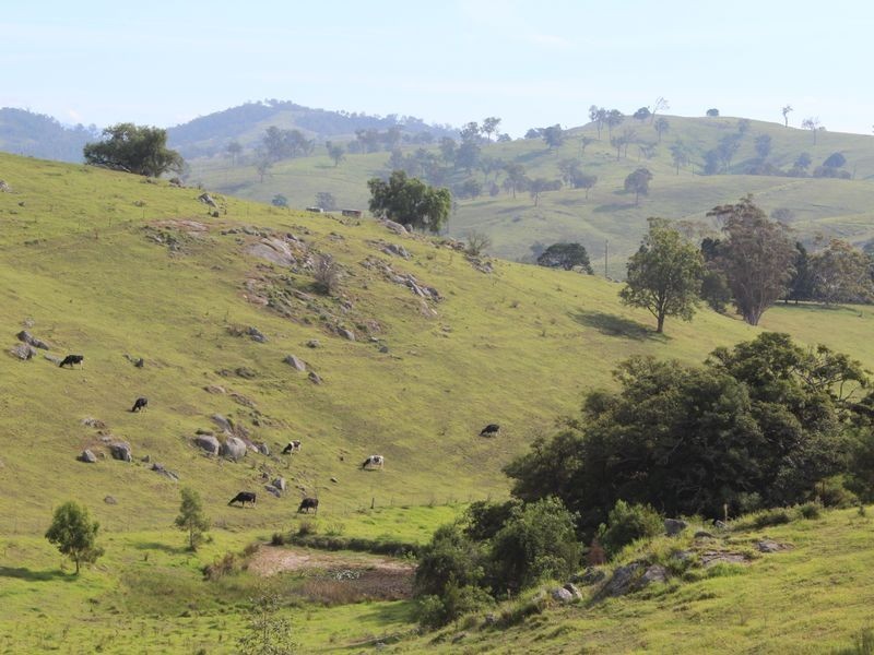 868 Buckajo Road, Bega NSW 2550