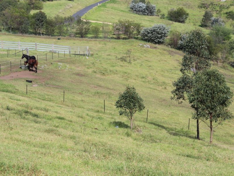 868 Buckajo Road, Bega NSW 2550