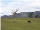 63 Dummetts Road, Quaama NSW 2550