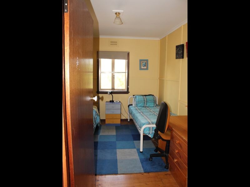 163 County Boundary Road, Cobargo NSW 2550