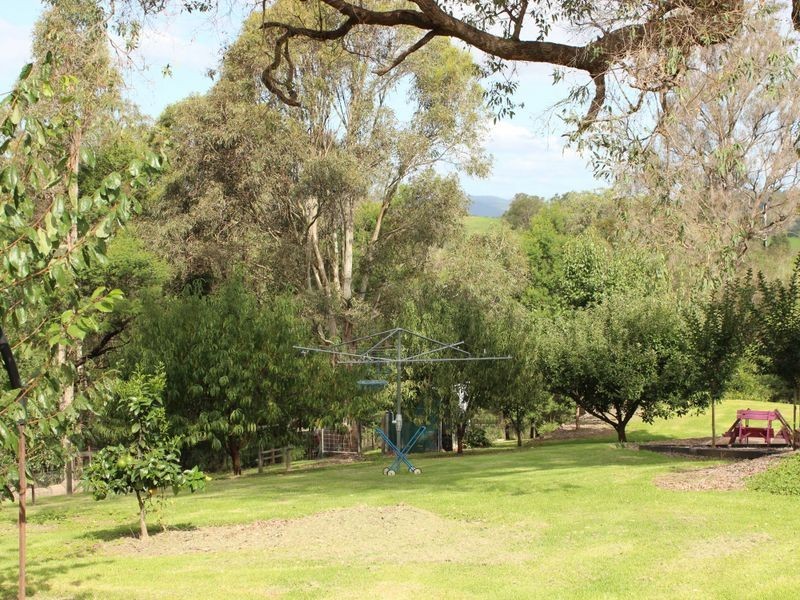 163 County Boundary Road, Cobargo NSW 2550