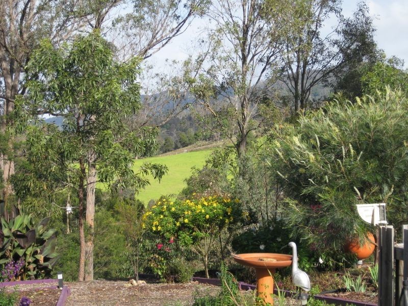 163 County Boundary Road, Cobargo NSW 2550