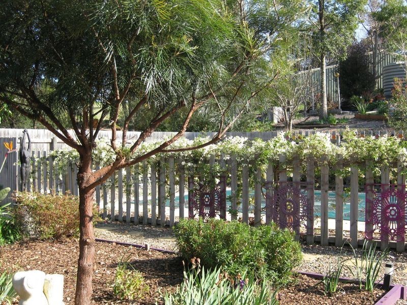 163 County Boundary Road, Cobargo NSW 2550