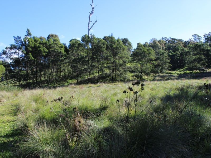 163 County Boundary Road, Cobargo NSW 2550