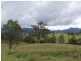 Lot 94 Hoskins Street, Bemboka NSW 2550