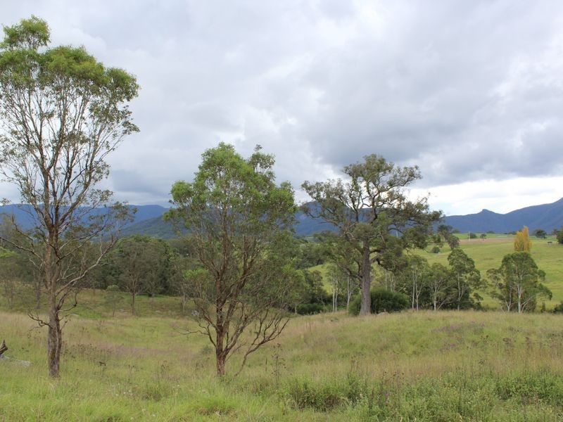 Lot 94 Hoskins Street, Bemboka NSW 2550