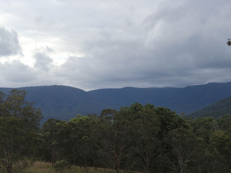Lot 94 Hoskins Street, Bemboka NSW 2550