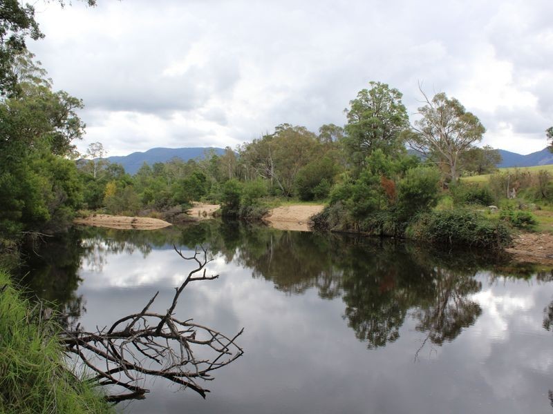 Lots 93 94 & 95 Geraghty Street, Bemboka NSW 2550