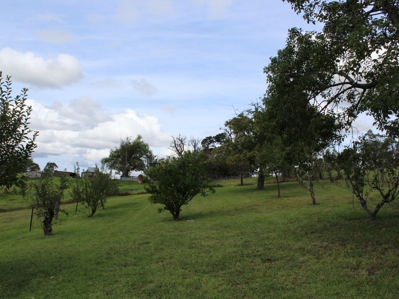 Lots 93 94 & 95 Geraghty Street, Bemboka NSW 2550