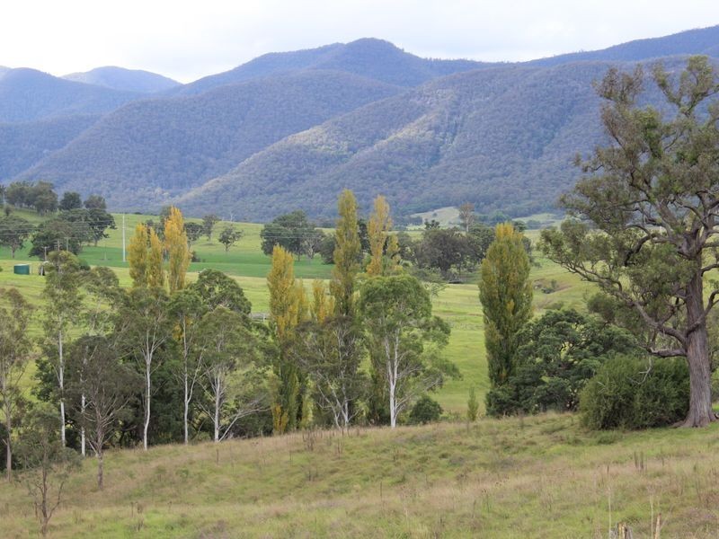 Lots 93 94 & 95 Geraghty Street, Bemboka NSW 2550