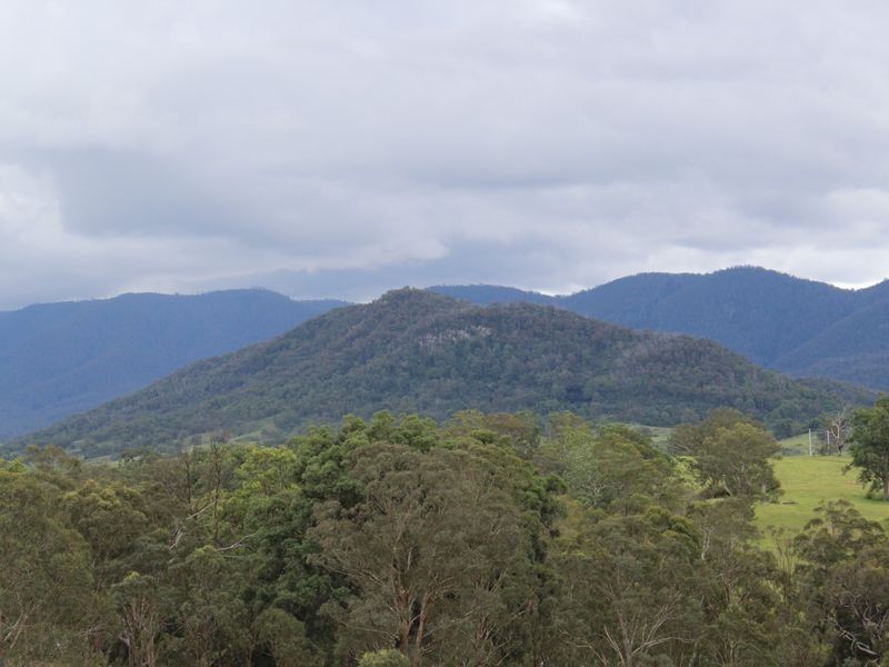 Lots 93 94 & 95 Geraghty Street, Bemboka NSW 2550